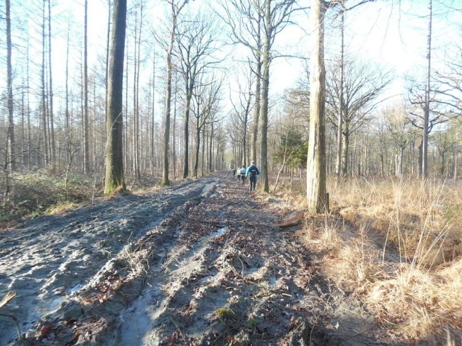 2405709b-8c47-40e6-9f83-9ecf5ae3f0f0