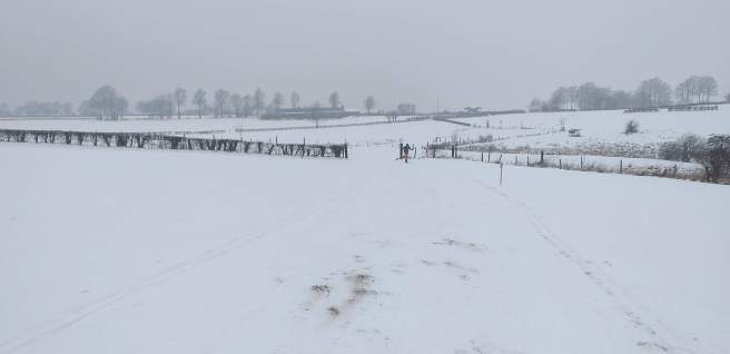 d42d5fc2-5035-43a7-8a9a-22249b79144e